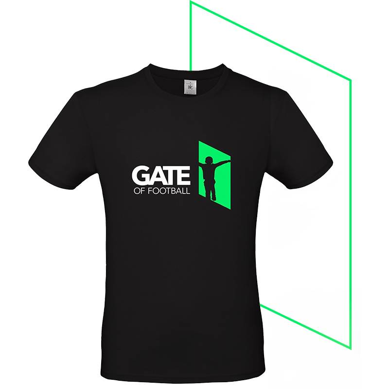 Imagen de Camisetas Gate